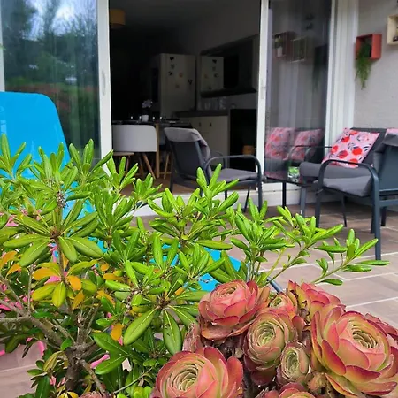St Cyprien Moderne Et Lumineux Rez De Jardin * Saint-Cyprien (Pyrenees-Orientales)
